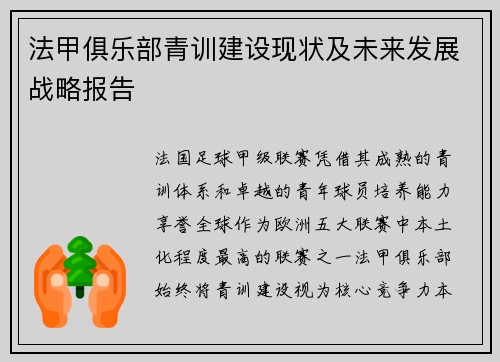 法甲俱乐部青训建设现状及未来发展战略报告