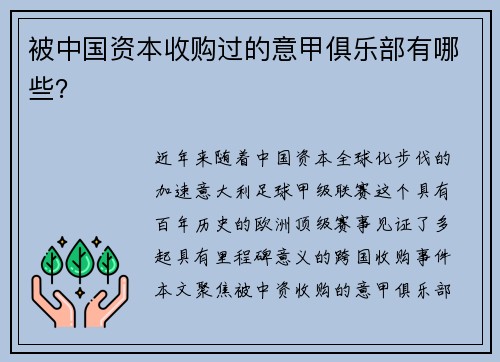 被中国资本收购过的意甲俱乐部有哪些？